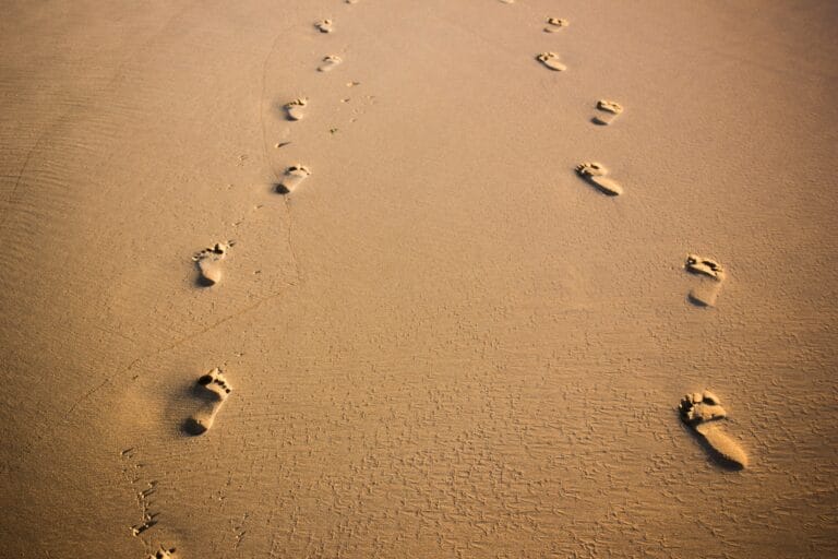 Here’s 12 Things To Know When Starting Counselling.